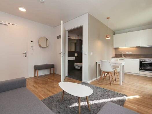 Wohnung zur Miete 470 € 1 Zimmer 41 m² Buchrain 7 Heimbuchenthal 63872