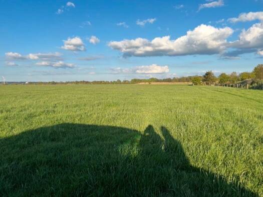 Grundstück zum Kauf provisionsfrei 286.000 € 56.394 m² Grundstück Eichholz Marschacht 21436