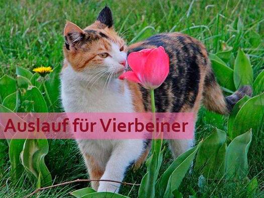 Einfamilienhaus zum Kauf provisionsfrei 415.275 € 5 Zimmer 125 m² 864 m² Grundstück Gefrees 95482