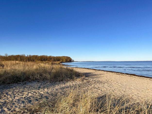 Wohnung zur Miete 800 € 2 Zimmer 54 m² Niesgrau 24395