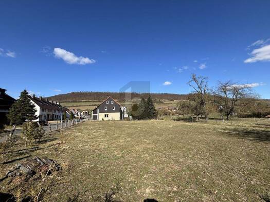 Grundstück zum Kauf 46.000 € 2.420 m² Grundstück Hilwartshausen Dassel 37586