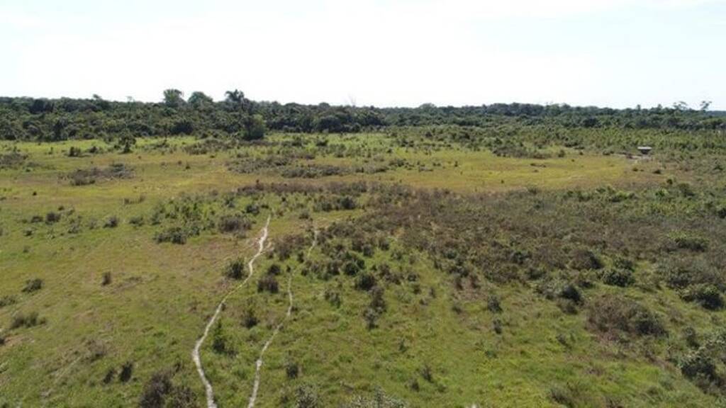 Grundstück zum Kauf 430.000 € 9.999.999 m² Grundstück Rorainopolis 69373000