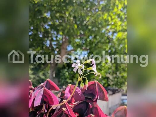 Wohnung zur Miete Tauschwohnung 795 € 4 Zimmer 95 m² 1. Geschoss Klotzsche Dresden 01109