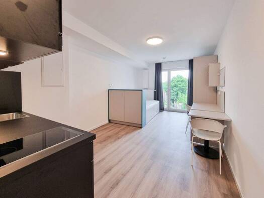 Studio zur Miete 485 € 1 Zimmer 28 m² 1. Geschoss frei ab sofort Ernststr. 1 St Peter Nürnberg 90478