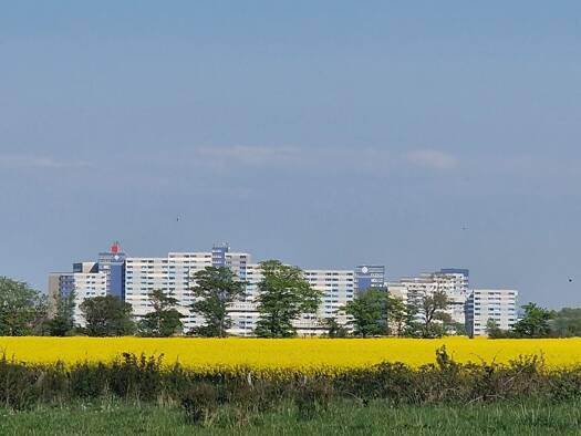 Wohnung zum Kauf 105.000 € 1,5 Zimmer 39 m² Ortsteil Ostsee-Ferienpark Heiligenhafen 23774