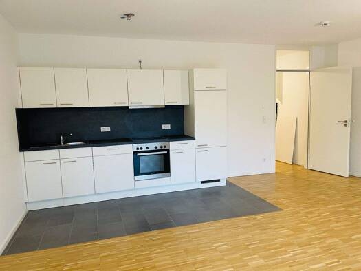 Wohnung zur Miete 698 € 1 Zimmer 47,9 m² EG Georg-Holzbauer-Str. 3 St Jobst Nürnberg 90491