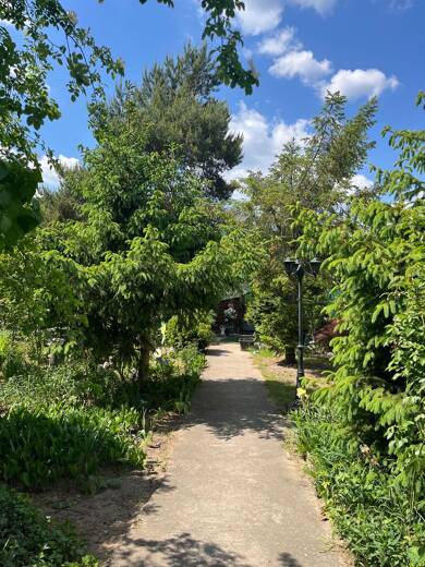 Einfamilienhaus zum Kauf 298.500 € 3 Zimmer 74 m² 791 m² Grundstück Zeuthener Str. Eichwalde 15732