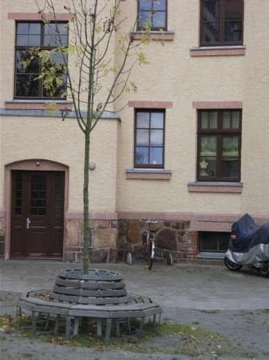 Wohnung zur Miete 348 € 3 Zimmer 57,9 m²<br/>Wohnfläche 2.<br/>Geschoss 01.01.2025<br/>Verfügbarkeit Wilhelm-Raabe-Str. 47 we 6 Altchemnitz 413 Chemnitz 09120