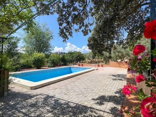 Bauernhaus zum Kauf 475.000 € 6 Zimmer 355 m² 17.546 m² Grundstück Antequera 29200