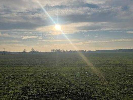 Einfamilienhaus zum Kauf 115.000 € 8 Zimmer 118 m² 2.827 m² Grundstück Buchhain Doberlug-Kirchhain 03253