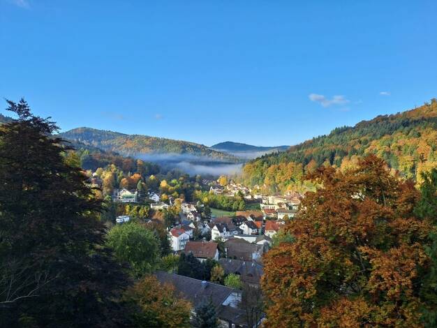 Wohnung zum Kauf 135.000 € 2 Zimmer 52 m² Bad Herrenalb 76332