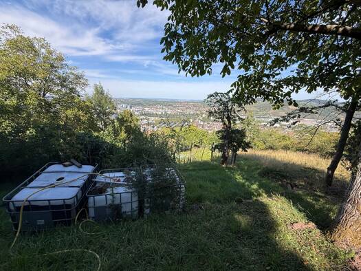 Grundstück zum Kauf 35.000 € 1.781 m² Grundstück Wangen Stuttgart 70327