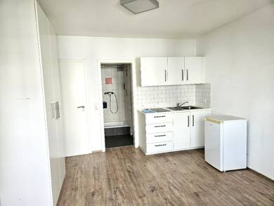 Wohnung zur Miete 495 € 1 Zimmer 25 m² 2. Geschoss Mannheim 68161
