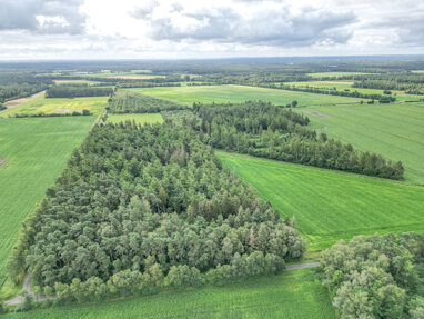 Land-/Forstwirtschaft zum Kauf 120.335 m² Grundstück Wahlbezirk 209 Nordhorn 48531