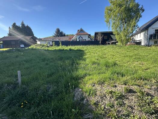 Grundstück zum Kauf 85.457 € 246 m² Grundstück Bad Driburg Bad Driburg 33014