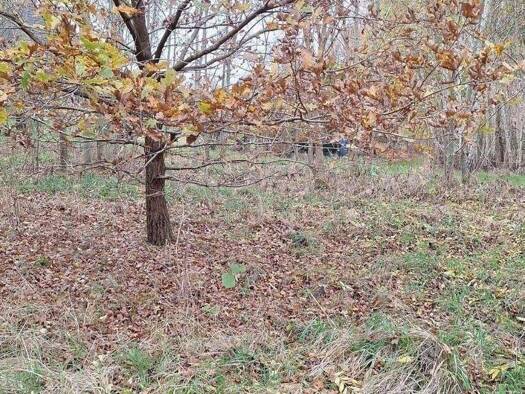 Grundstück zum Kauf 360.005 € 3.605 m² Grundstück Göddingen Bleckede 21354