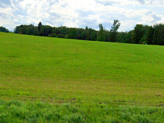 Land-/Forstwirtschaft zum Kauf 78.000 € 30.894 m² 30.894 m² Grundstück Rothenfeld Andechs 82346