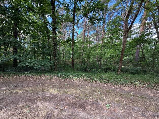 Immobilie zum Kauf 180.000 € 2.869 m² Grundstück Bad Saarow-Pieskow Bad Saarow 15526