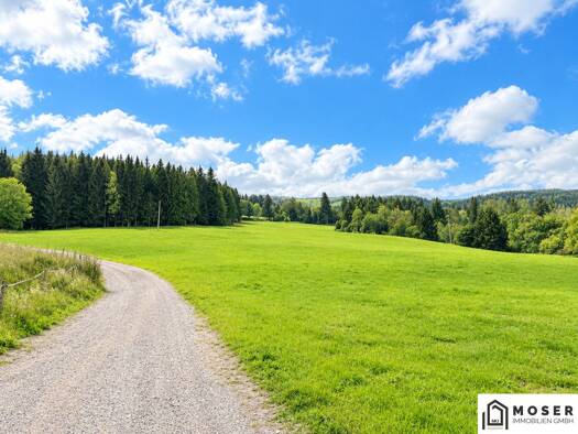Land-/Forstwirtschaft zum Kauf 350.000 € 81.114 m² Grundstück Mühlen 8820