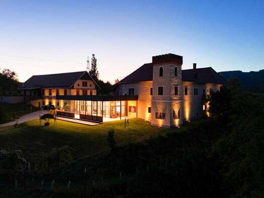 Schloss zum Kauf 7.950.000 € 950 m² 206.745 m² Grundstück Völkermarkt 9100