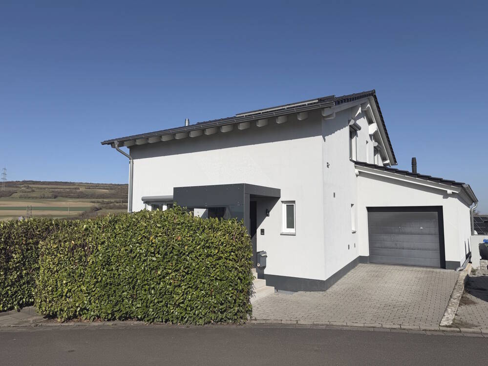 House in Grünstadt / Asselheim - Ansicht 2