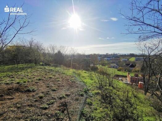 Grundstück zum Kauf 699.000 € 882 m² Grundstück Neusiedl am See 7100