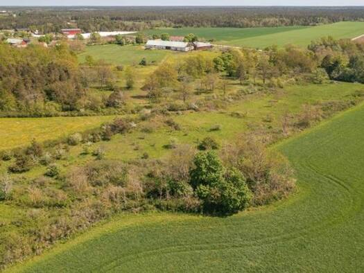 Grundstück zum Kauf 50.000 € 4.266 m² Grundstück Klintehamn 62375