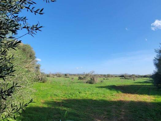 Grundstück zum Kauf 600.000 € 23.955 m² Grundstück Campos 07630