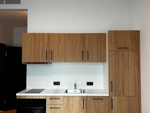 Wohnung zur Miete 2,5 Zimmer 42 m² frei ab sofort Feldkirchen an der Donau 4101