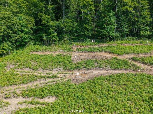 Wohnung zum Kauf - Erstbezug 539.000 € 2,5 Zimmer 57 m² EG Bad Ischl 4820