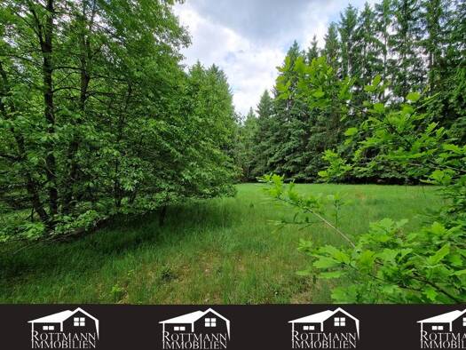 Land-/Forstwirtschaft zum Kauf 12.000 € 1.856 m² Baumersreuth Baumersreuth Schwarzenbach a.d.Saale 95126