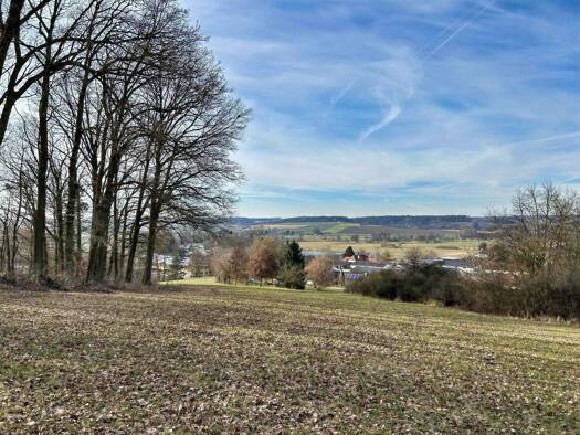 Land-/Forstwirtschaft zum Kauf 95.000 € 14.366 m² Grundstück Frontenhausen 84160