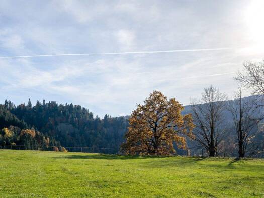 Grundstück zum Kauf 660.000 € 550 m² Grundstück Itter 6305