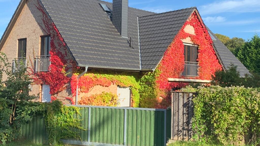 Wohnung zum Kauf provisionsfrei als Kapitalanlage geeignet 397.000 € 4 Zimmer 109 m² Zum Karpfenteich 4 Göhren-Lebbin 17213