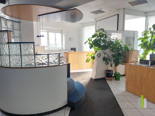 Laden zur Miete 1.167 € 178 m² Verkaufsfläche Bernardin Wels 4600