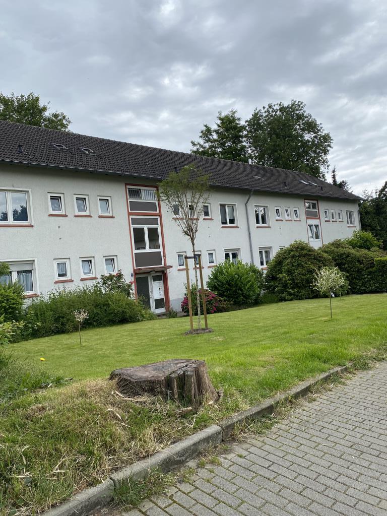 Wohnung zum Kauf provisionsfrei 105.000 € 2,5 Zimmer 57,4 m²<br/>Wohnfläche 1.<br/>Geschoss Wiesengrund 5 Dellwig Essen 45357