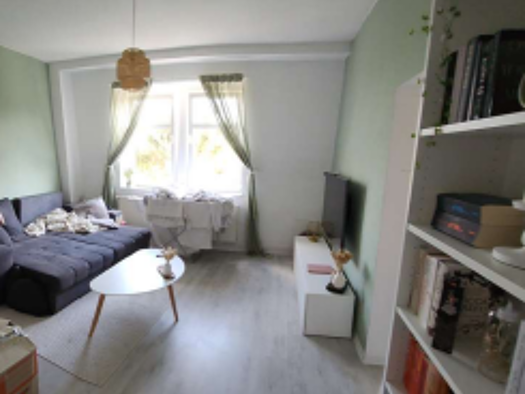 Wohnung zur Miete 600 € 2 Zimmer 66 m² 3. Geschoss frei ab 01.04.2026 Blumenstraße 96 Andreasvorstadt Erfurt 99092