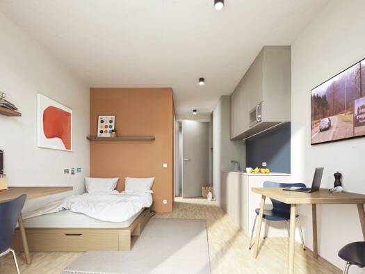 Wohnung zum Kauf - Neubau provisionsfrei als Kapitalanlage geeignet 219.300 € 1 Zimmer 24,2 m² Brühl Freiburg im Breisgau 79106