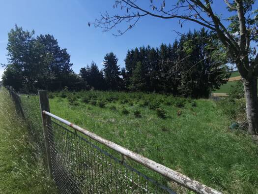 Grundstück zum Kauf 49.500 € 1.633 m² Grundstück Münster Wurmsham 84189