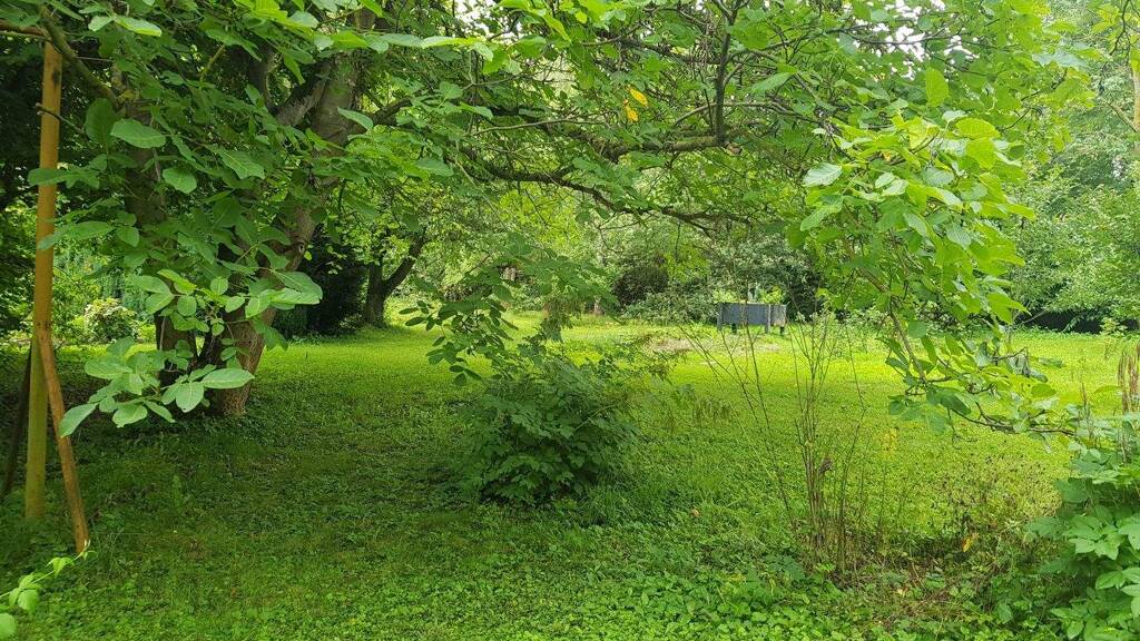 Grundstück zum Kauf 50.000 € 500 m² Grundstück frei ab sofort Löbervorstadt Erfurt 99096