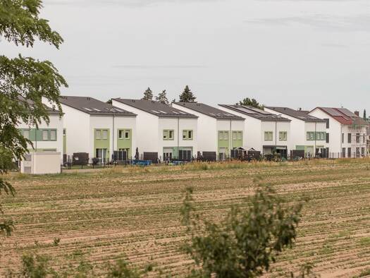 Doppelhaushälfte zur Miete - Erstbezug 1.840 € 4 Zimmer 117 m² frei ab 01.10.2026 An der Kieskaute Eschollbrücken Pfungstadt 64319