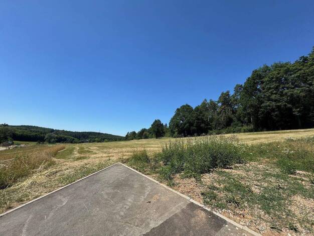 Grundstück zum Kauf provisionsfrei 150.544 € 776 m² Grundstück Bornstraße Allertshausen Rabenau 35466