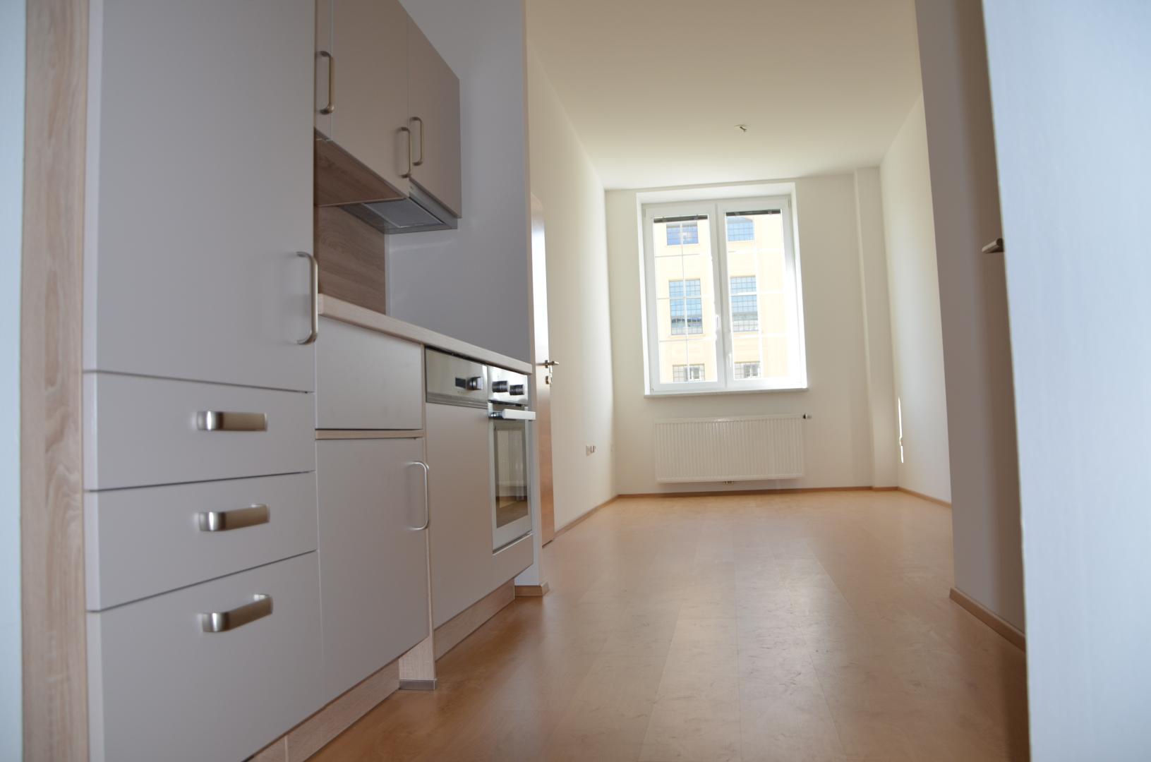 Wohnung zur Miete 273 € 2 Zimmer 43 m²<br/>Wohnfläche EG<br/>Geschoss ab sofort<br/>Verfügbarkeit Leopold Werndlstraße 25a Sarning Steyr 4400