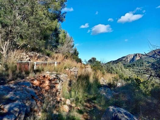 Acker-/Waldstück zum Kauf 30.000 € Alcalalí 03728