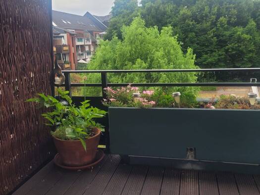 Wohnung zur Miete 580 € 2 Zimmer 63 m² Geschoss 2/4 frei ab sofort Rheydt Süd 41236