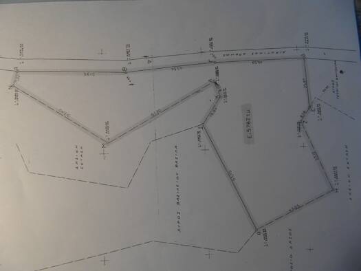 Land-/Forstwirtschaft zum Kauf 50.000 € 5.782 m² Grundstück Agia Paraskevl/Chalkidiki 15300