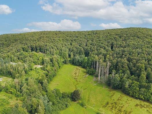 Land-/Forstwirtschaft zum Kauf 500 € 1.503 m² Grundstück Lonau Herzberg am Harz 37412