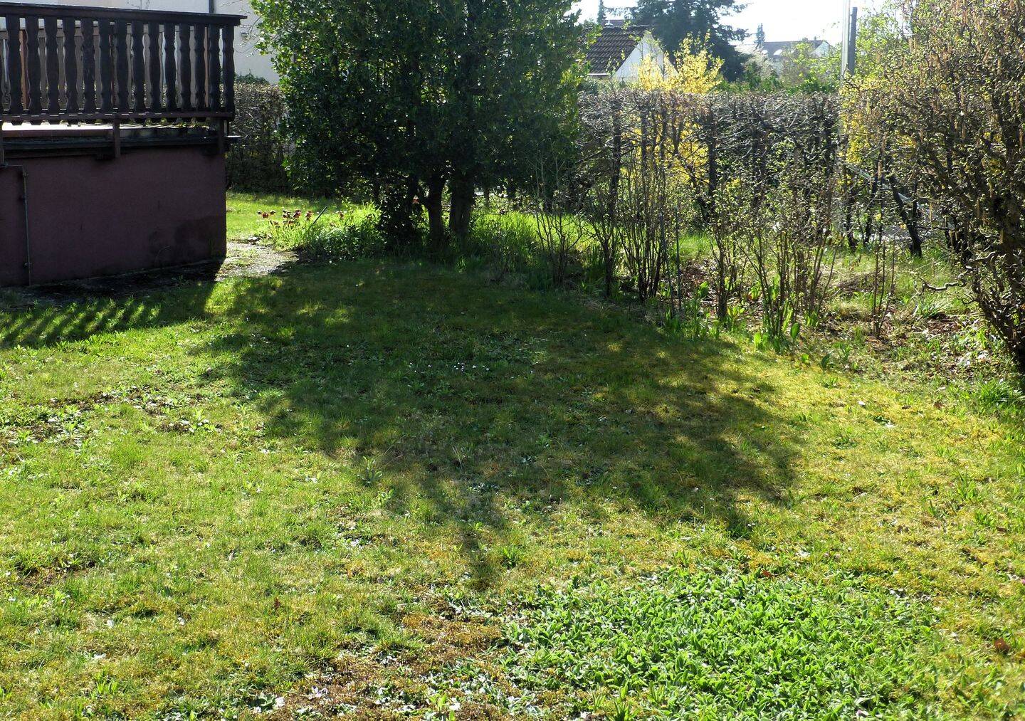 Einfamilienhaus zum Kauf - Ansicht 5