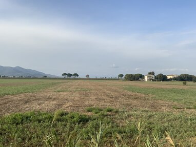 Bauernhaus zum Kauf 600.000 € 5 Zimmer 500 m² 126.000 m² Grundstück Castiglione della Pescaia