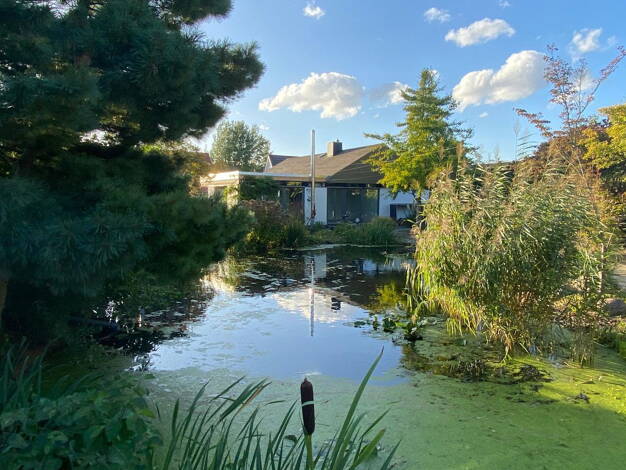 Bungalow zur Miete 2.200 € 4 Zimmer 137 m² 1.256 m² Grundstück Wenden Braunschweig 38110